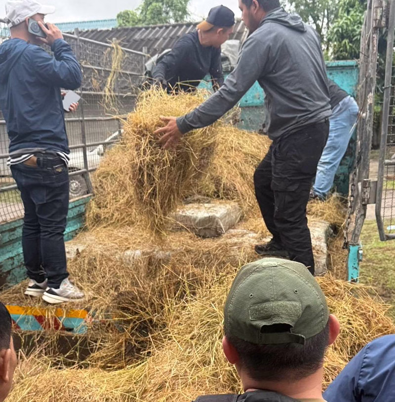 Police Bust Hay Truck Diver 