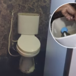 Newborn Girl Found Alive in Toilet