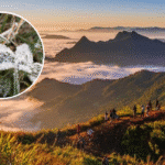 Doi Pha Tang, Chiang Rai Dip Below 0°C