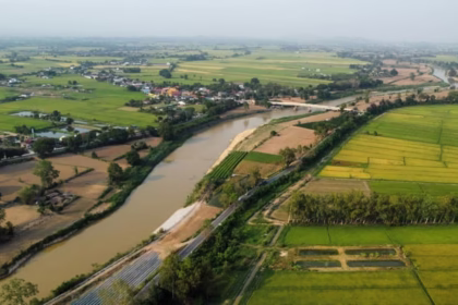 Rice, Arsenic, Kok River, Chiang Rai