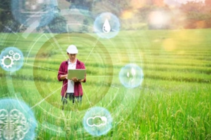 Thai Rice Farms Adopt AI