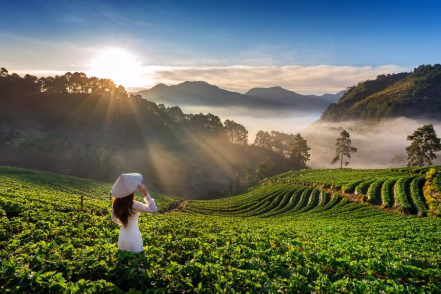 Eco Tourism Chiang Rai Thailand Chiang Mai