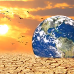 2025 Climate Change Effects: Urgent Realities