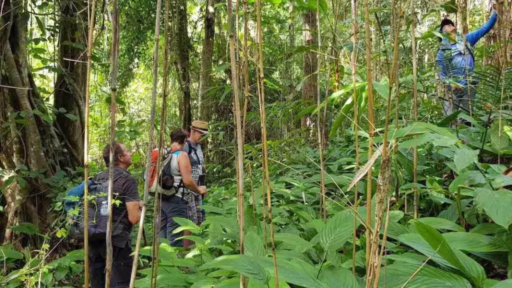 Chiang Rai's Huai Nam Guen Offers Premium Thai Cultural Experience