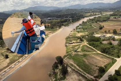 Heavy Metals Found in Produce and Fish From the Kok and Sai River Basins