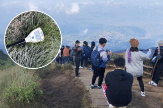 Temperature on Doi Inthanon in Chiang Mai Drops to 3 Degrees