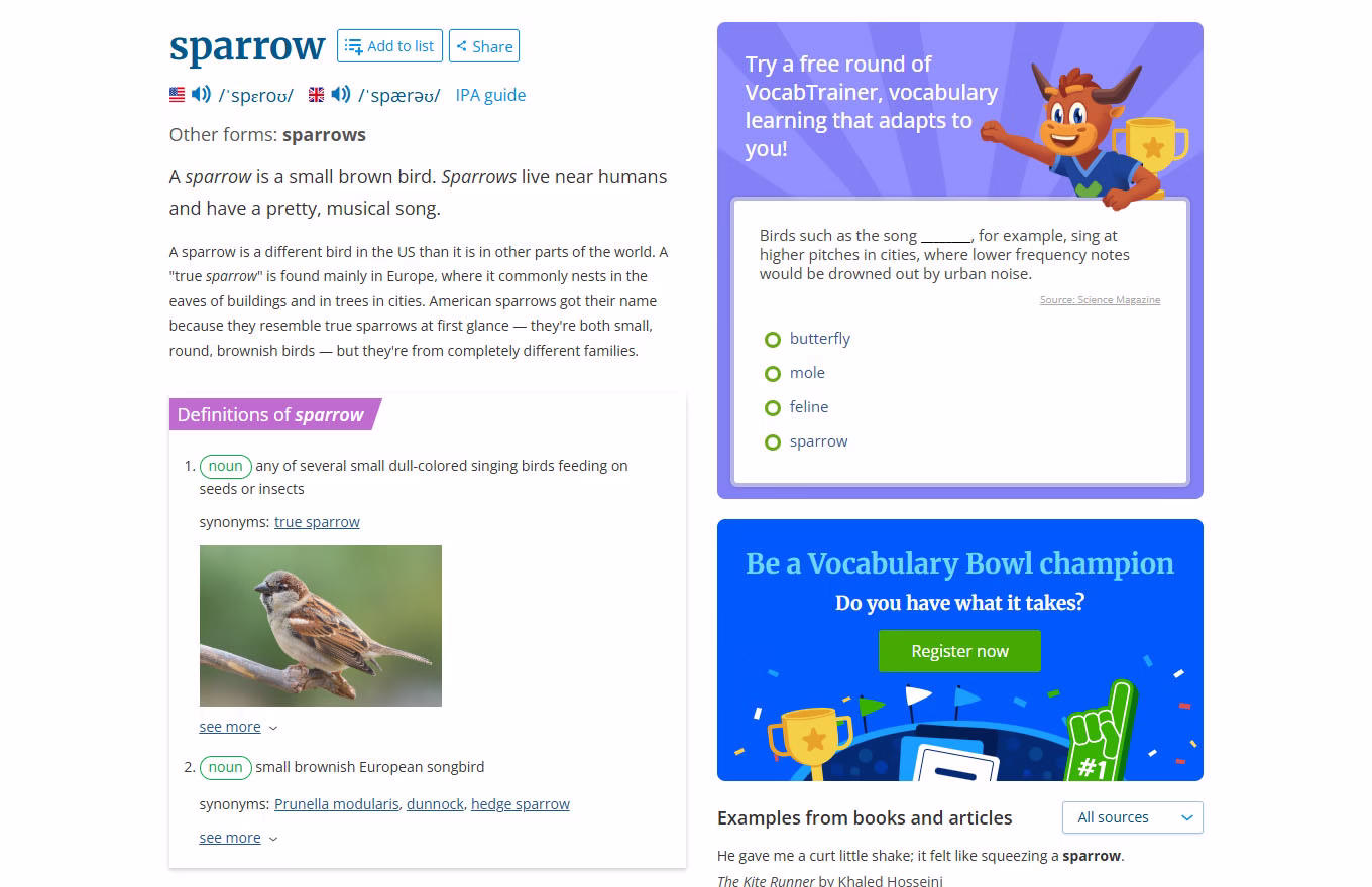 Learn English Vocabulary