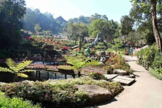 The 12 Guardians of Doi Tung Forest Opens in Chiang Rai