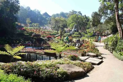 The 12 Guardians of Doi Tung Forest Opens in Chiang Rai