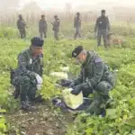 Soldiers Intercept Drug Runners in Chiang Mai