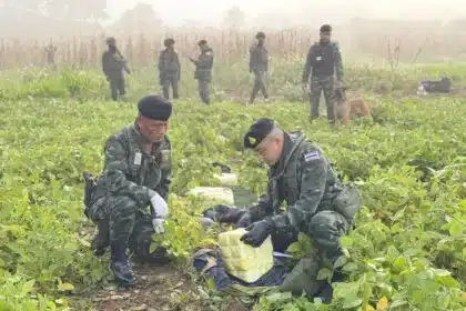 Soldiers Intercept Drug Runners in Chiang Mai