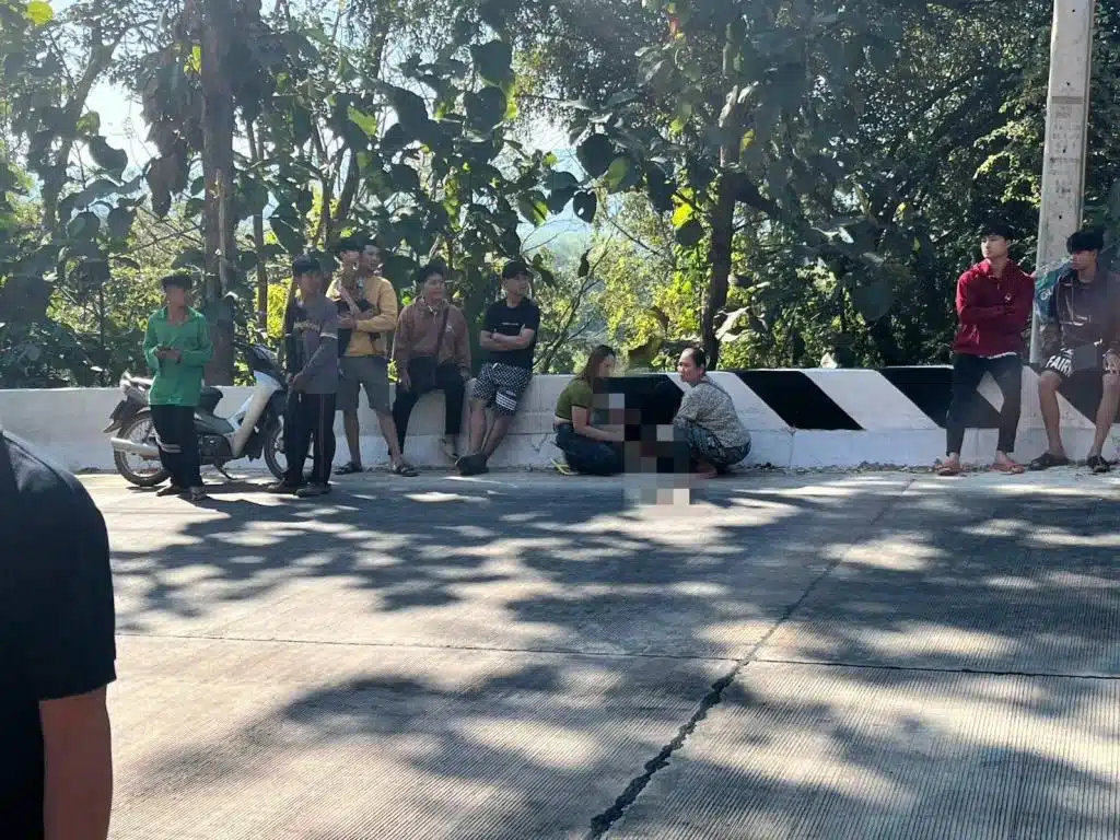 Pickup Truck Crashes and Overturns