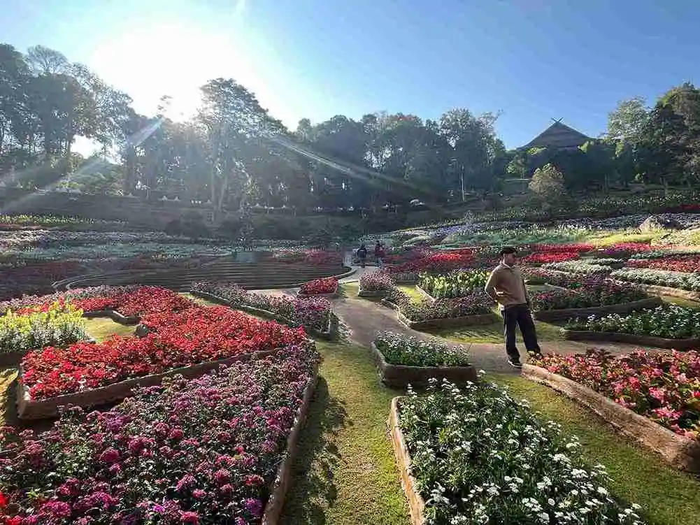 The 12 Guardians of Doi Tung Forest Opens in Chiang Rai