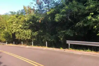 Brazen Thieves Steal Roadside Guardrails in Khao Kho Park