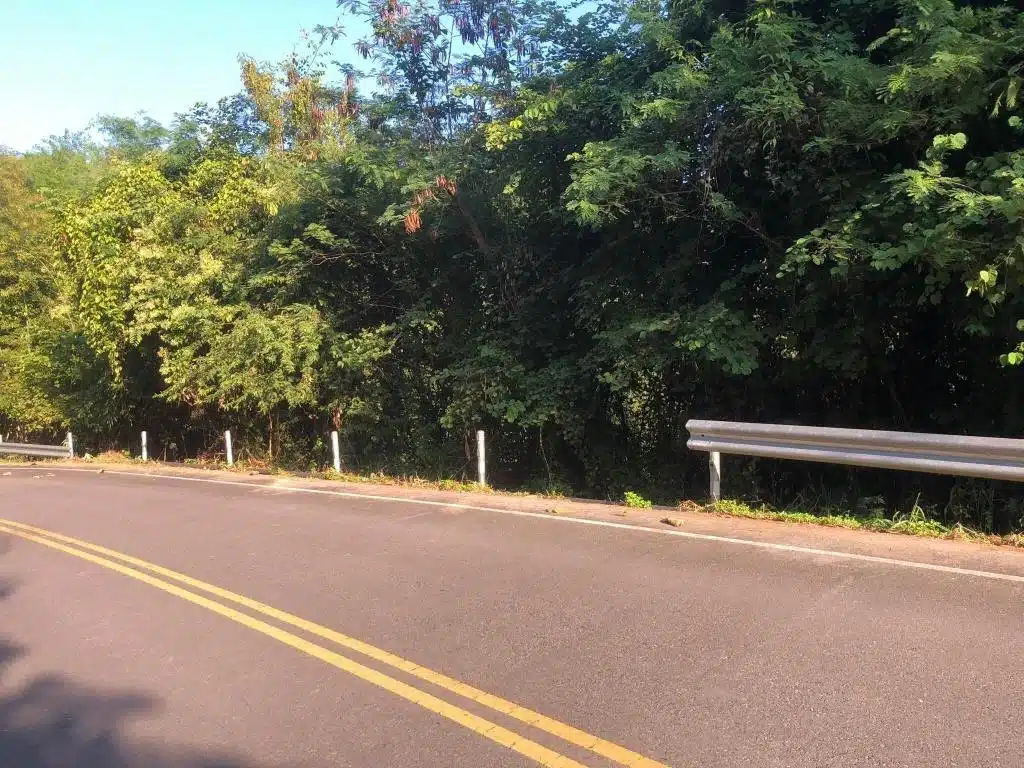 Brazen Thieves Steal Roadside Guardrails in Khao Kho Park