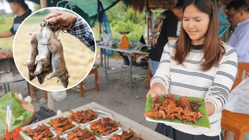Field Rats from Chiang Rai Become Street-Food