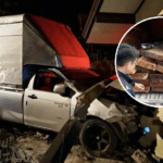 Man Smuggling Rosewood Crashes Pickup