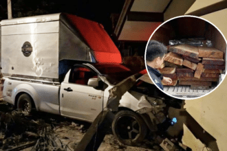 Man Smuggling Rosewood Crashes Pickup