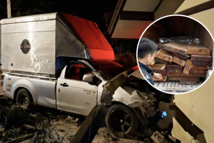 Man Smuggling Rosewood Crashes Pickup