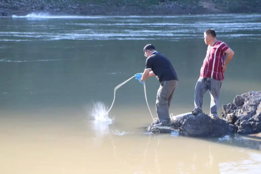 Practical steps to lower risk at home