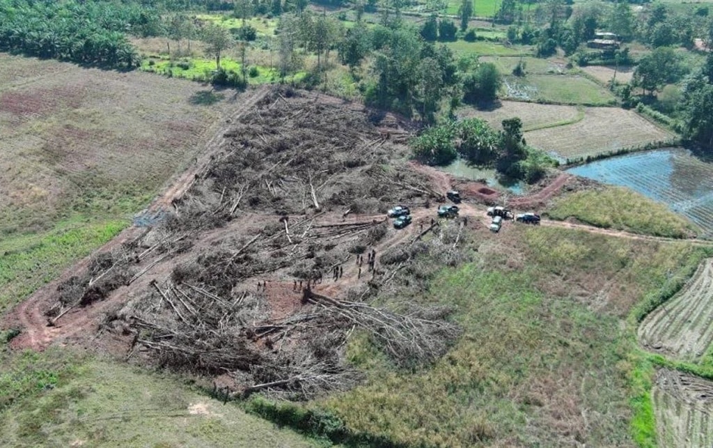 Illegal Tree Clearing in Phitsanulok