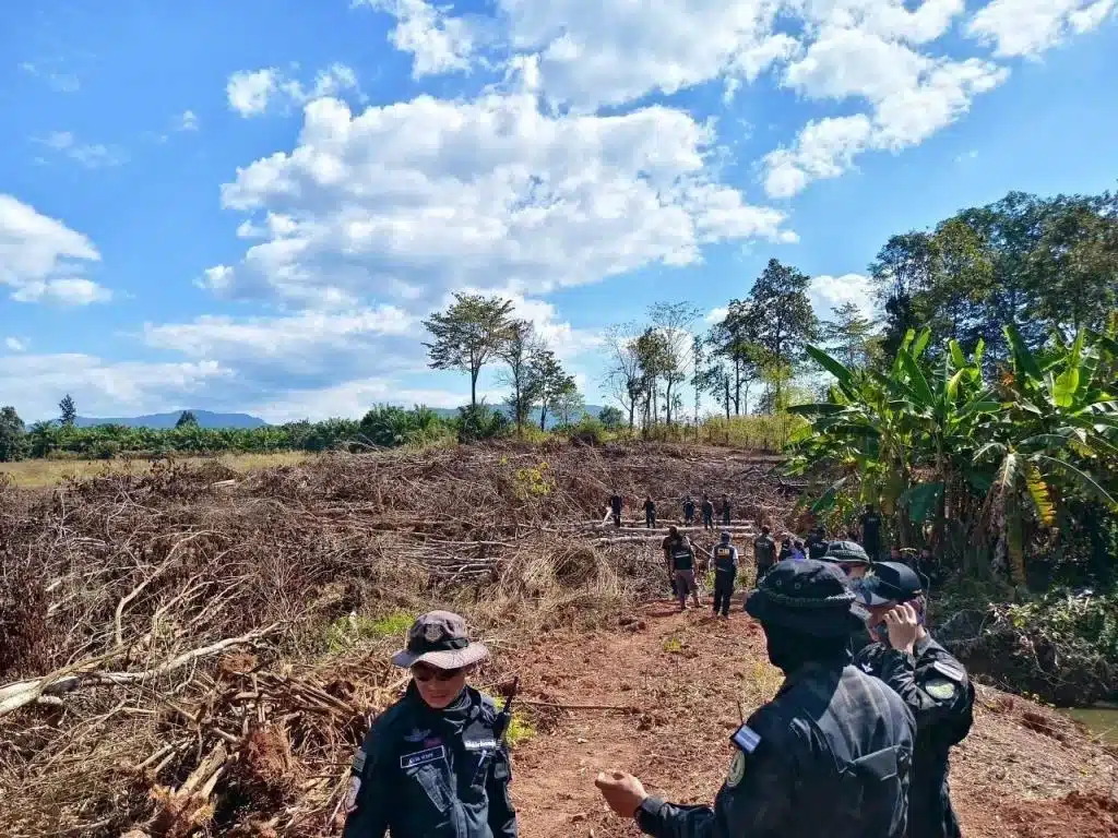 Illegal Tree Clearing in Phitsanulok