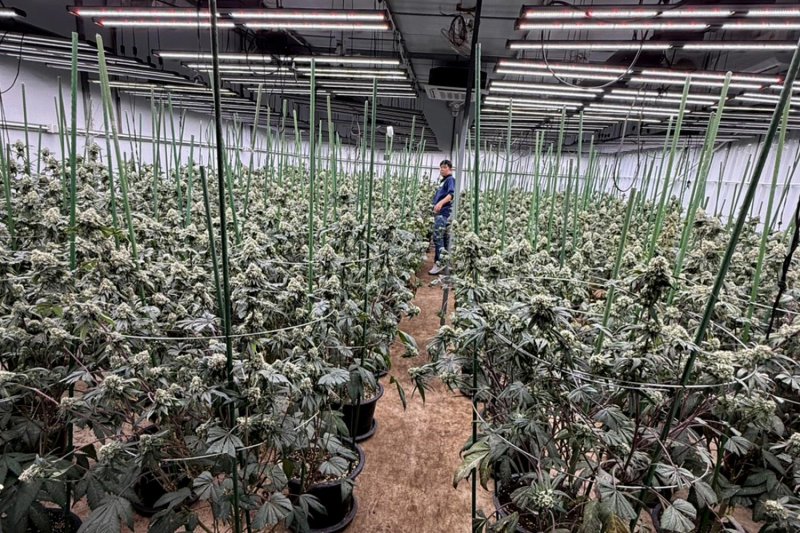 A Chinese fugitive wanted on an Interpol Red Notice is seen along with some of the evidence seized by immigration police officers at Suvarnabhumi airport