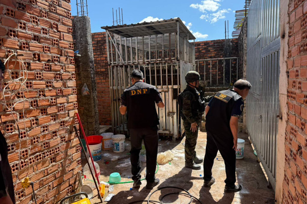 Starving Lions and Bears Rescued