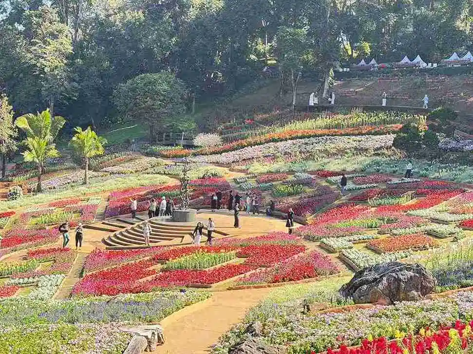 The 12 Guardians of Doi Tung Forest Opens in Chiang Rai