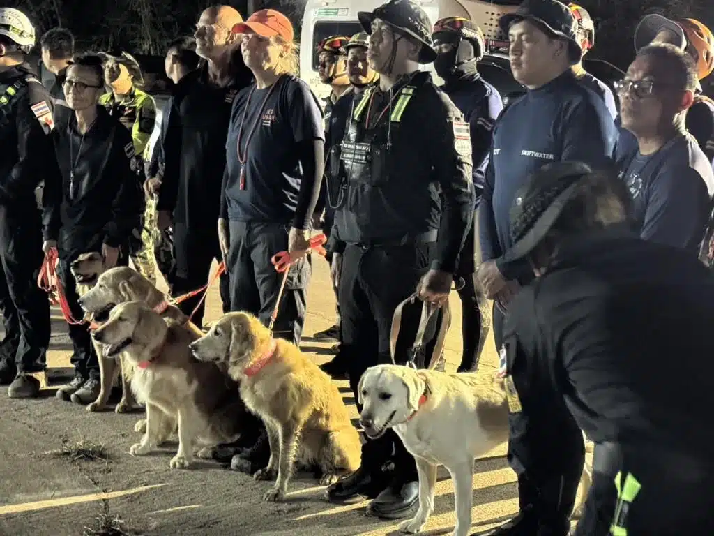 Chiang Mai Hold the World's First Joint Rescue Drill With Elephants, K-9's and Humans