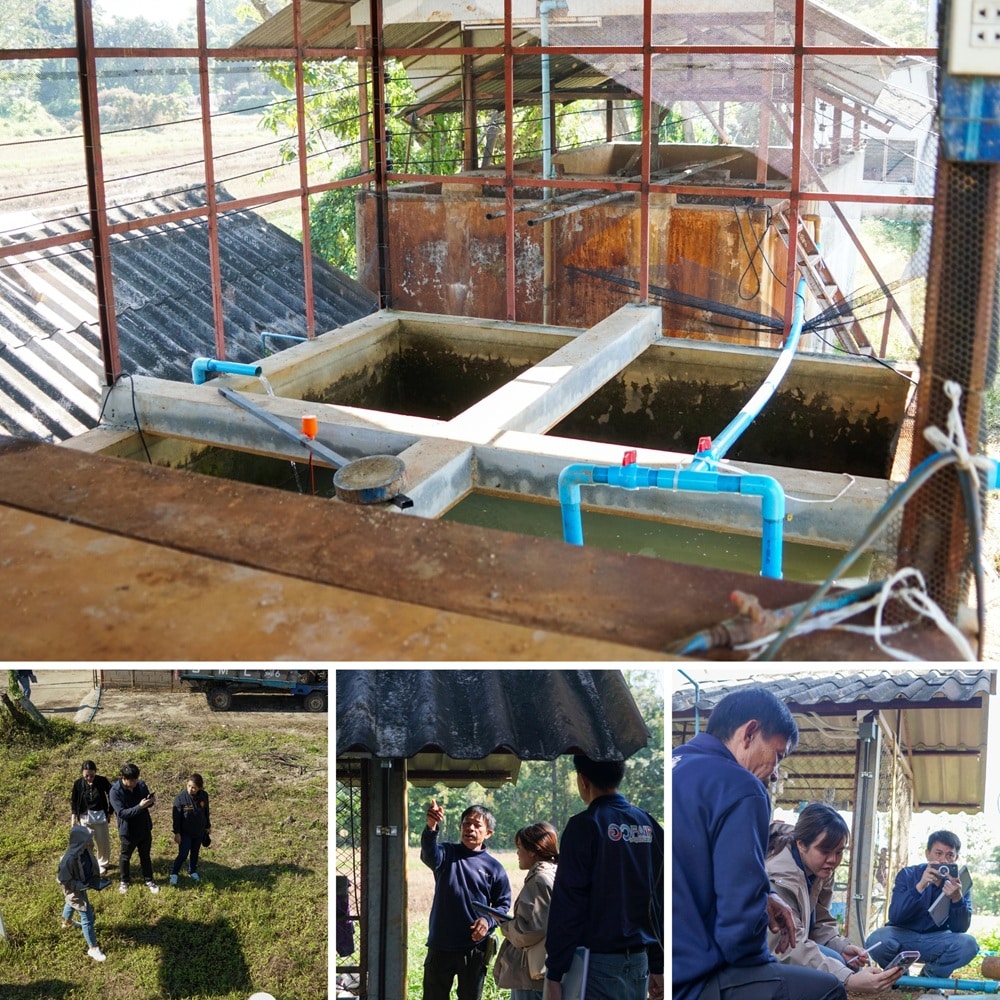 Synchrotron Light Research Institute