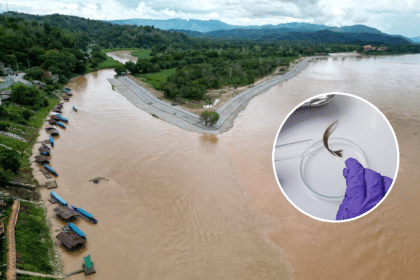 University Tests for Arsenic Contamination in Kok River Using Hair Samples