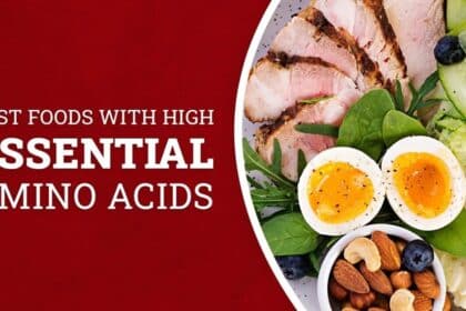 Best Food Sources for Essential Amino Acids