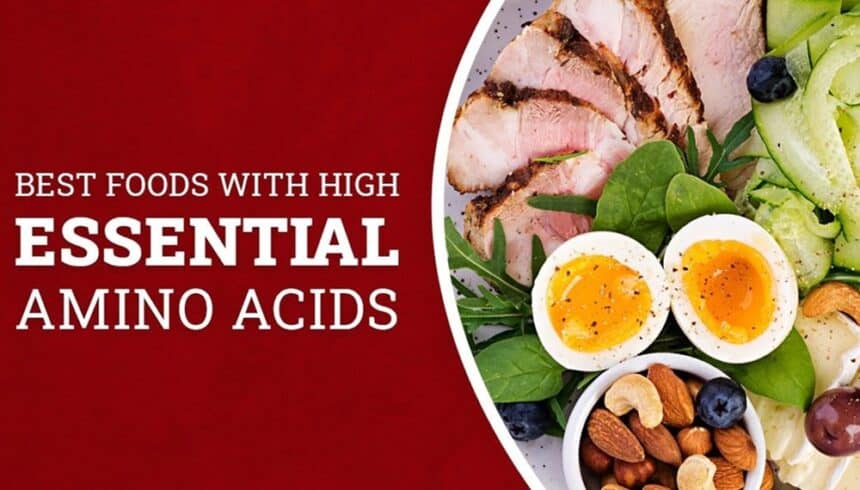 Best Food Sources for Essential Amino Acids