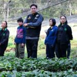 One Million Coffee Trees" Project in Chiang Rai