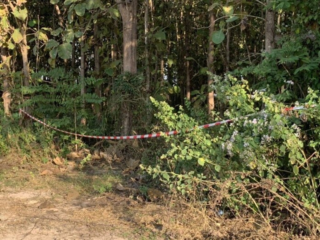 Pittbull kills farmer