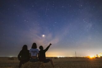 Geminids Meteor Shower