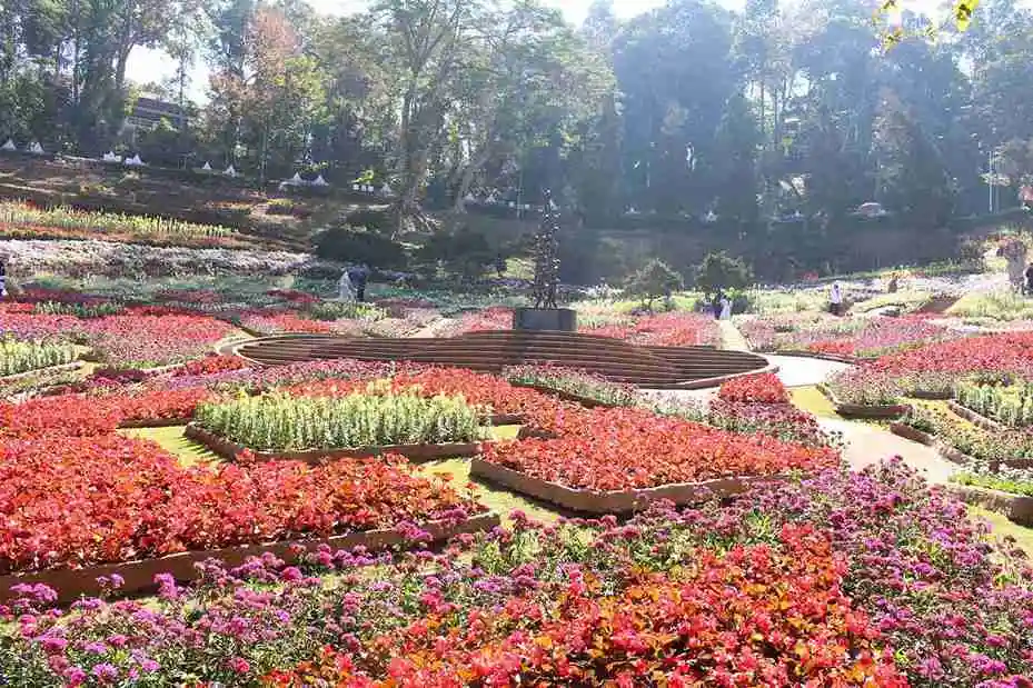 The 12 Guardians of Doi Tung Forest Opens in Chiang Rai