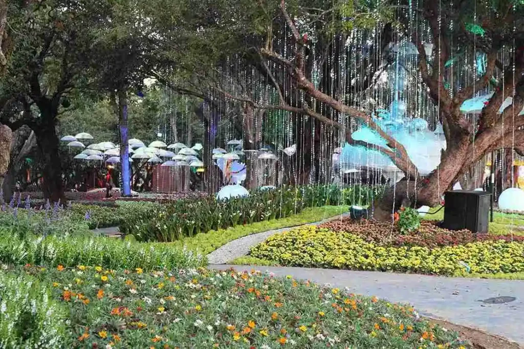 Chiangrai Flower and Art Festival 2025