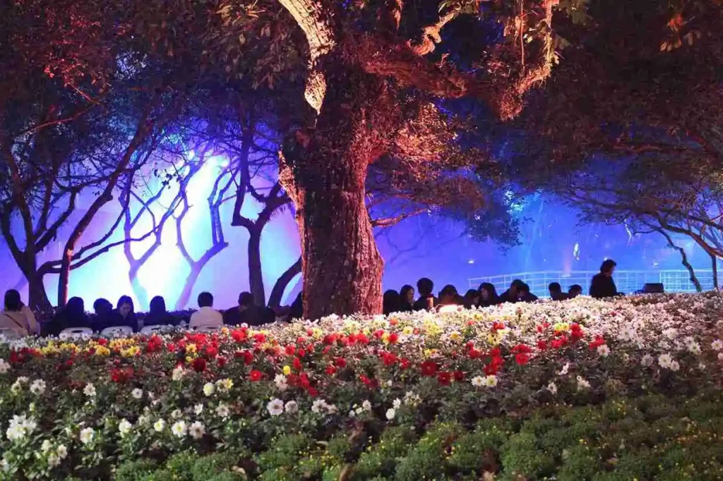 Chiangrai Flower and Art Festival 2025