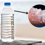 Microplastics in Our Water