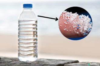 Microplastics in Our Water