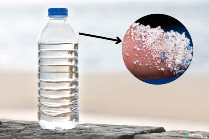 Microplastics in Our Water
