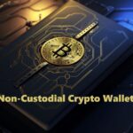 Non-Custodial Crypto Wallets