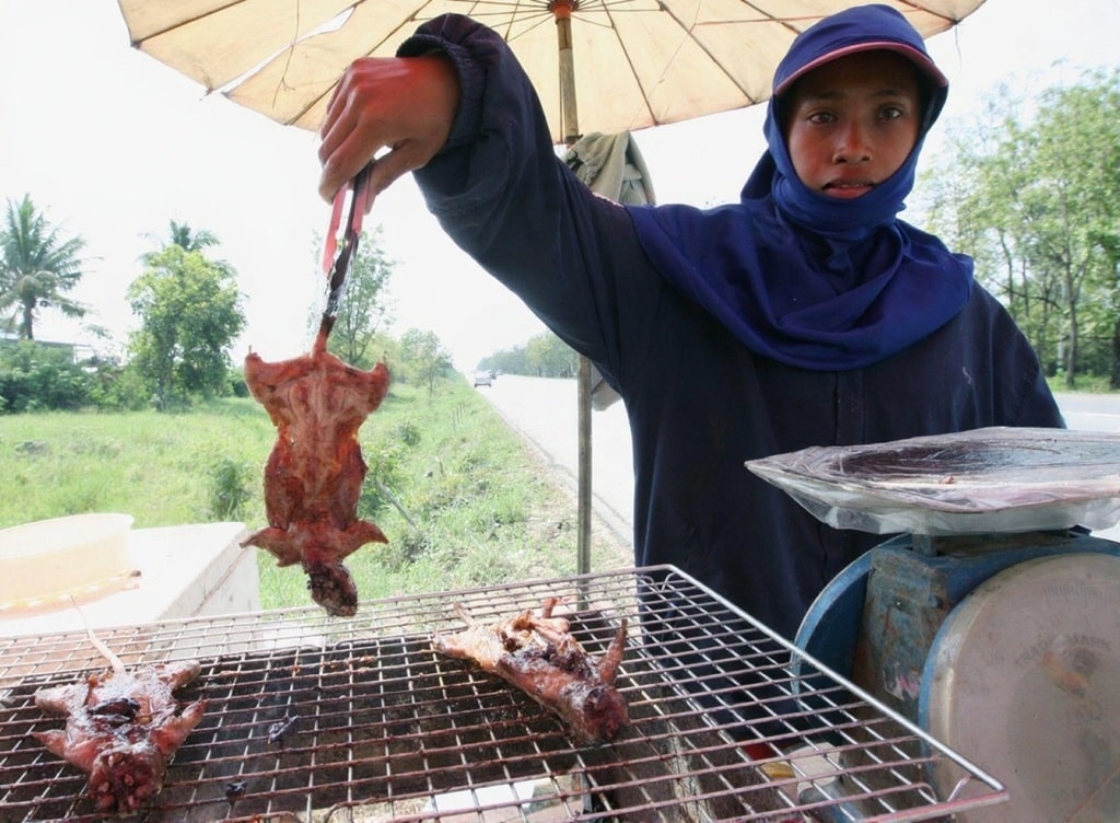 httpskaze.aiwatermark-removal