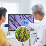 Riceberry could help restore hair