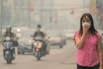 Have PM2.5 Air Pollution northern thailand