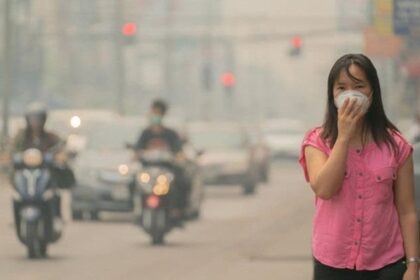Have PM2.5 Air Pollution northern thailand