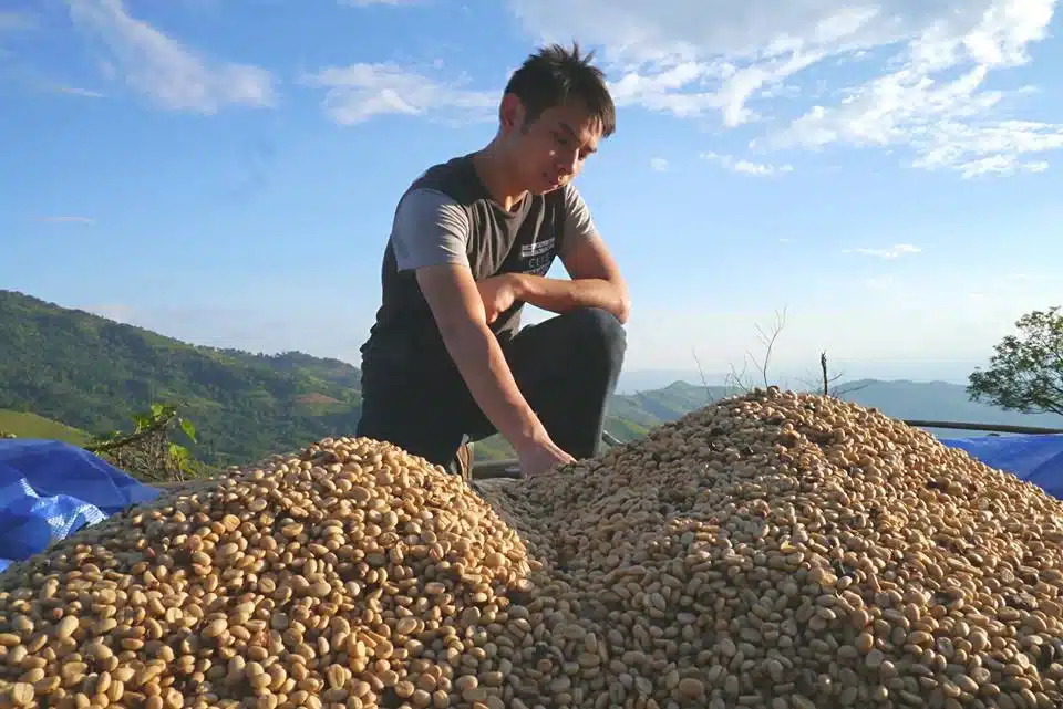  Specialty Coffee Chiang Rai