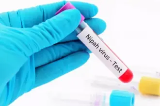 Nipah Virus in Thailand? What’s Confirmed, What’s Not, and How to Stay Safe